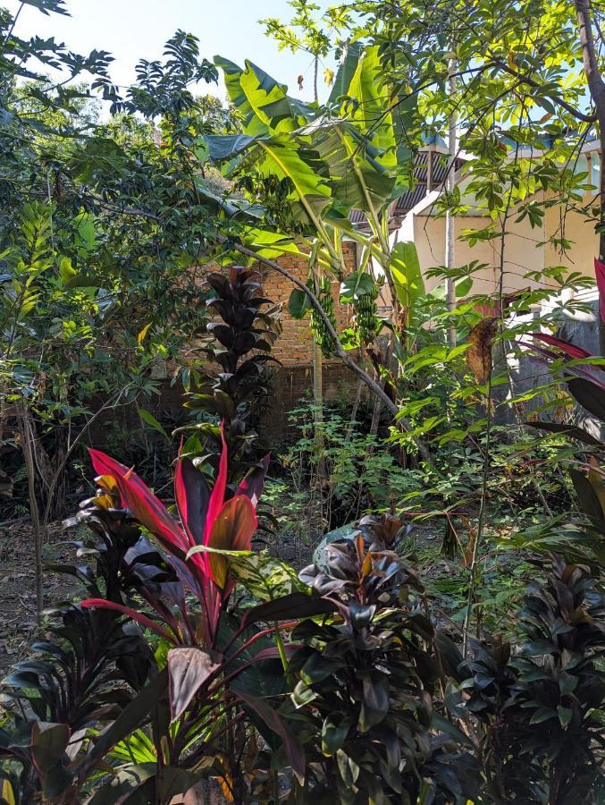 Agus Family Homestay ลาบวนบาโจ ภายนอก รูปภาพ
